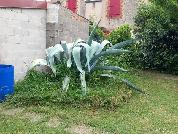 Maison 6 pièces 190 m²