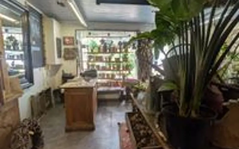 Photo 12