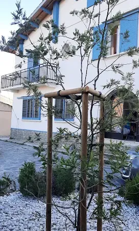 Maison 6 pièces 160 m²