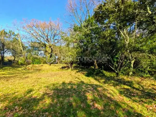 Terrain 1041 m²