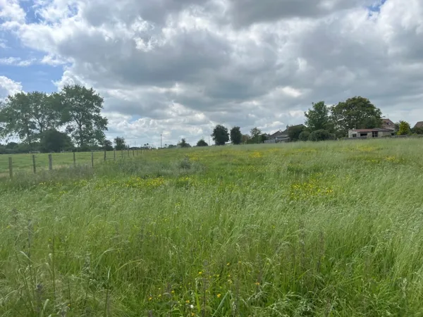 Terrain 1000 m²