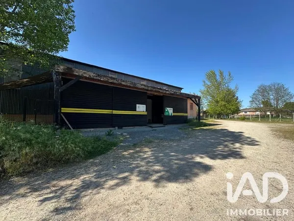 Local commercial 1 pièce 362 m²
