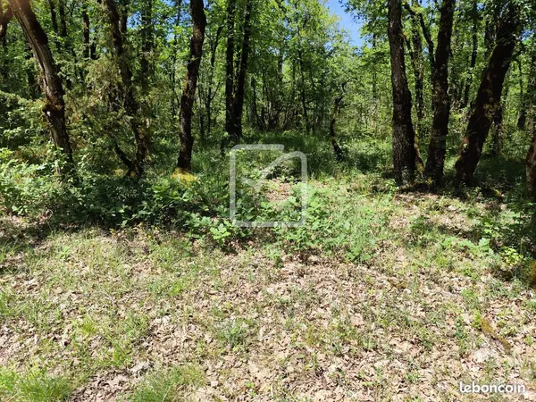 Terrain 2560 m² Chasteaux