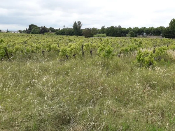 Terrain 425 m²