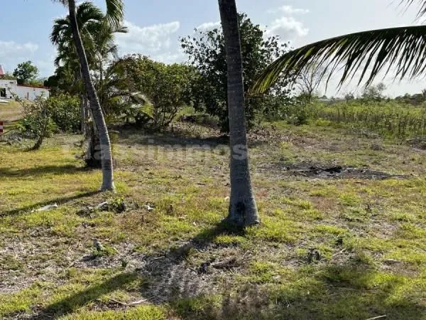 Terrain 504 m² Petit Canal