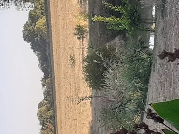 Terrain à batir