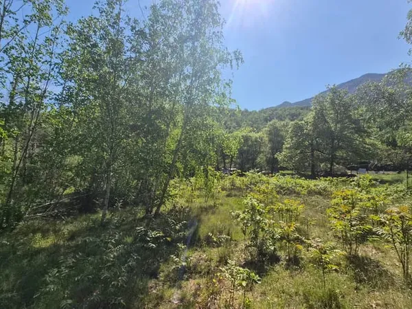 Terrain 1190 m²