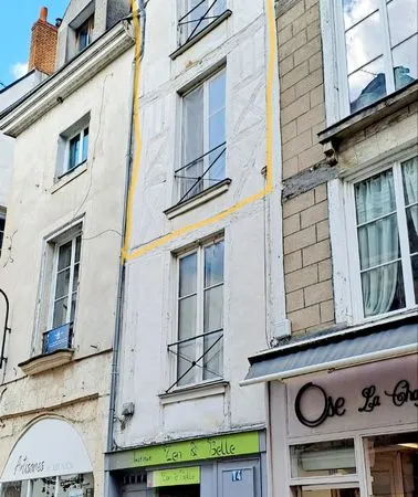 T2 duplex 43m2 Chatelet