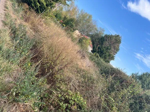 Terrain agricole