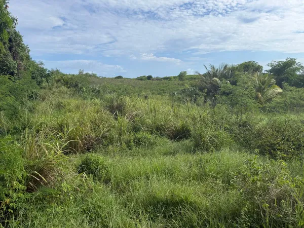 Beau terrain à bâtir dans un cadre verdoyant