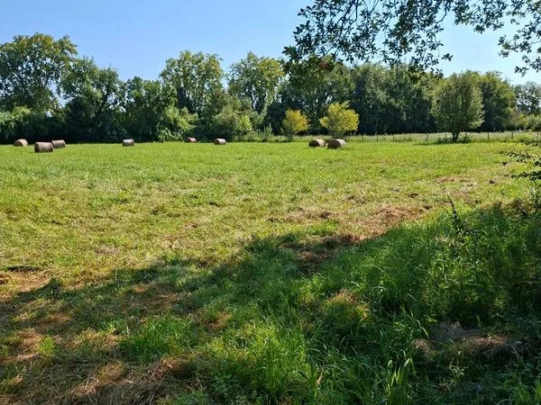 Terrain a thuir 6350 m2