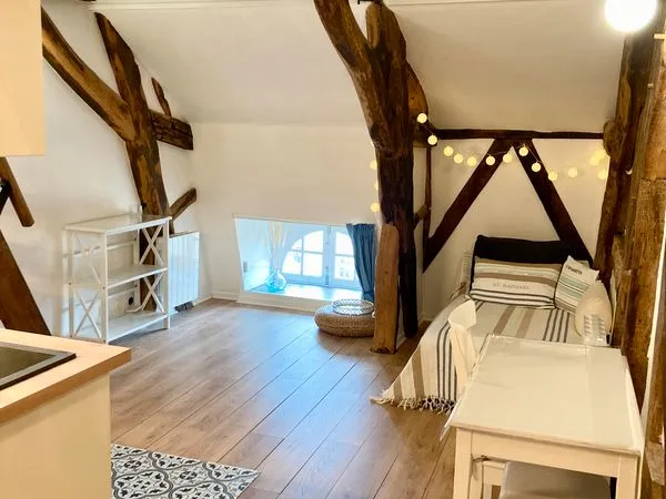 STUDIO duplex meublé - Place du Parlement à RENNES