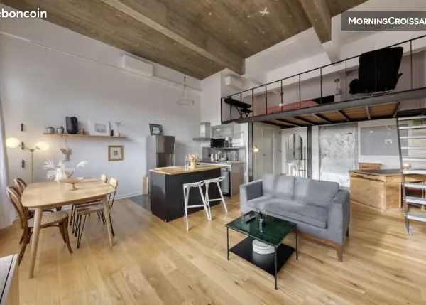 Loft 1 pièce 53 m²