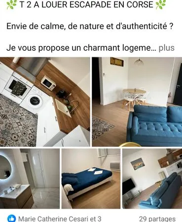 Appartement meublé T2 à louer