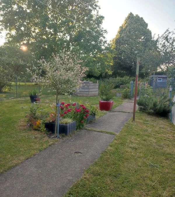 Photo 1