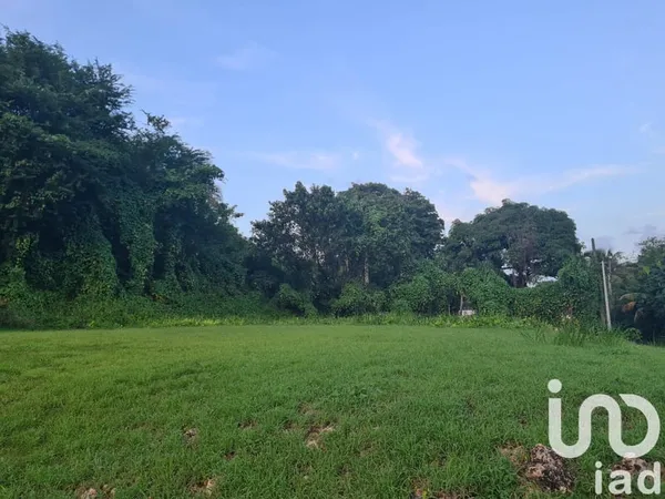Terrain 963 m²