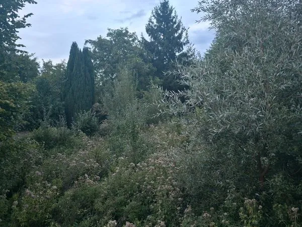Terrain 700m2 Quiévrechain