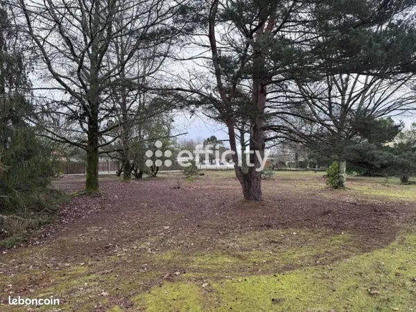 Terrain 1 050 m² Le Porge