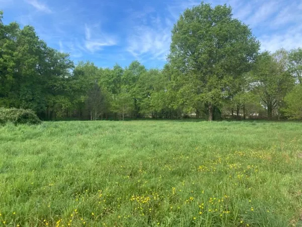 Terrain 556 m²