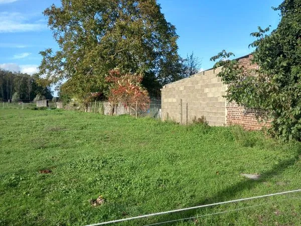 Terrain constructible