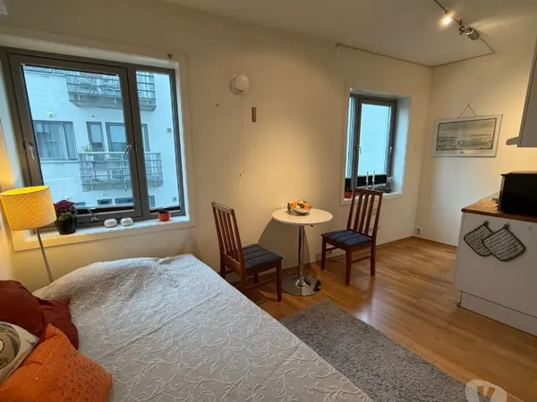 Studio meublé 21m²