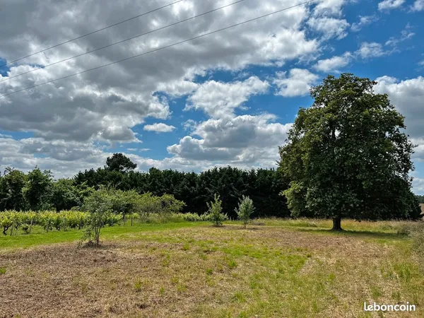 Terrain à bâtir 1 073 m² - Vernou-sur-Brenne - Votre îlot de fraîcheur