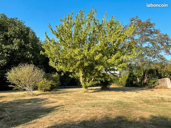 Terrain arboré, constructible Balma