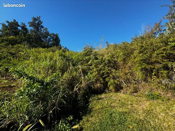 Terrain 730 m² La-Montagne