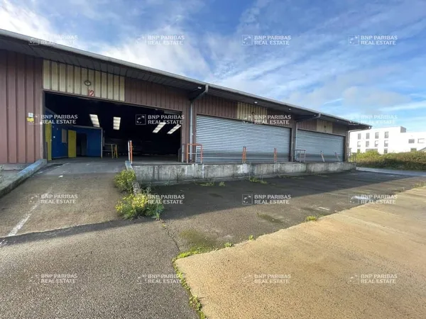 Local d'activité 1000 m²