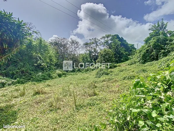 Terrain 1650 m² CAPESTERRE BELLE EAU