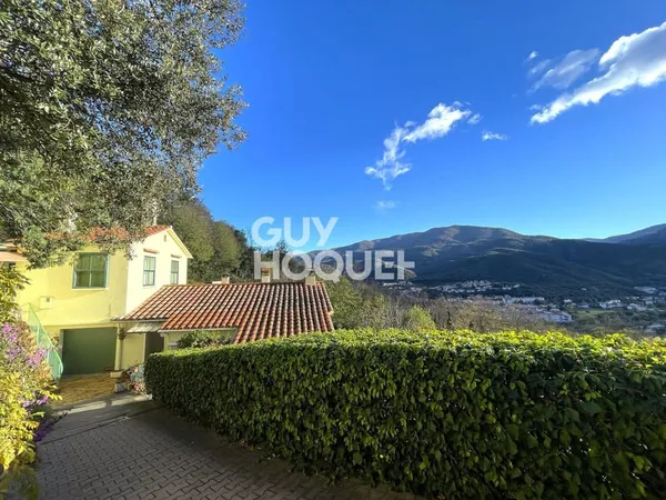 Hôtellerie et restauration Vente Amélie-les-Bains-Palalda 11p 165m² 320000€