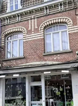 IMMEUBLE - SART- PROX TRAM ET METRO