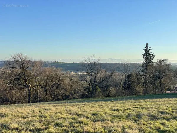 Terrain à Bâtir à Quint Fonsegrives (31130)