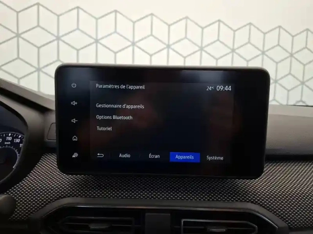 Dacia Sandero eco-g 100 - 22 — photo 19