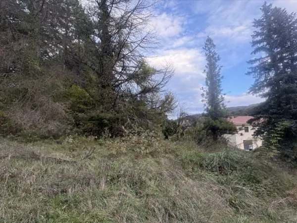 Terrain Les Mollettes