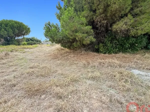 Terrain 1000 m²