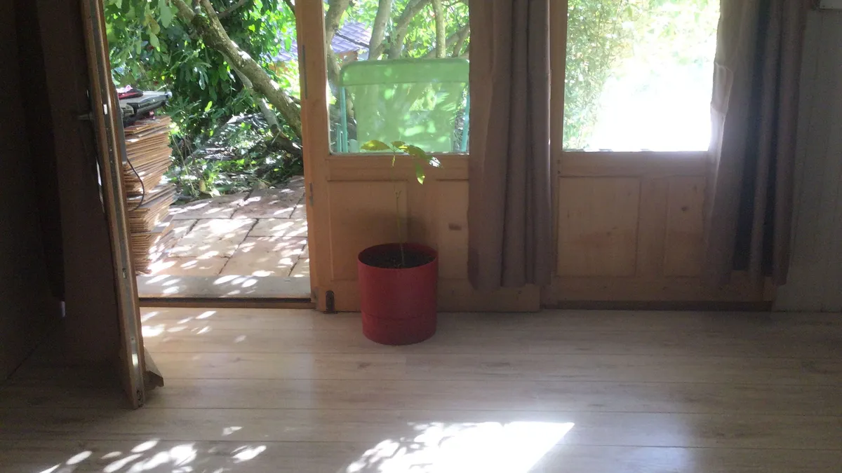 Photo 5
