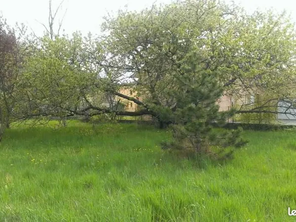 Terrain constructible, plat et arboré de 1031 m² - Plein Sud - Plusieurs accès - À 3 min à pied du c