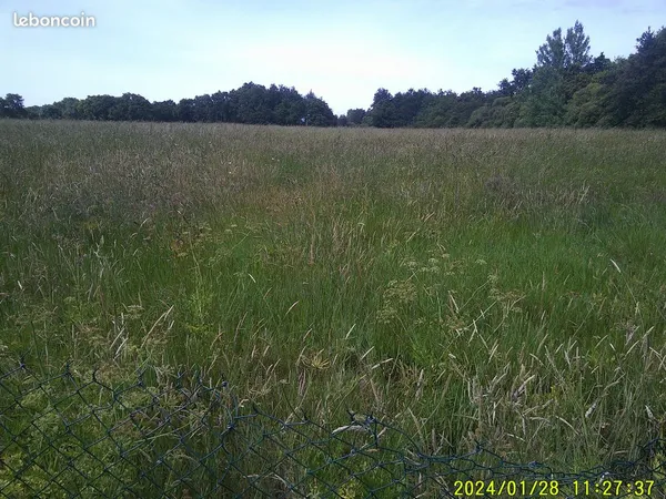 Terrain a loué