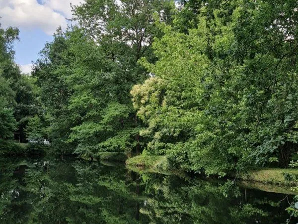 Étang de pêche privé clôturé - 3 132 m²