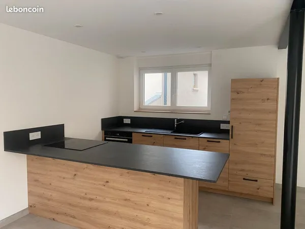 Maison/appartement entièrement refait à neuf