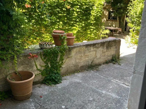 Grand p2 rdc jardin