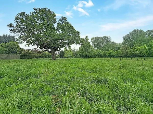 Terrain 3471 m²