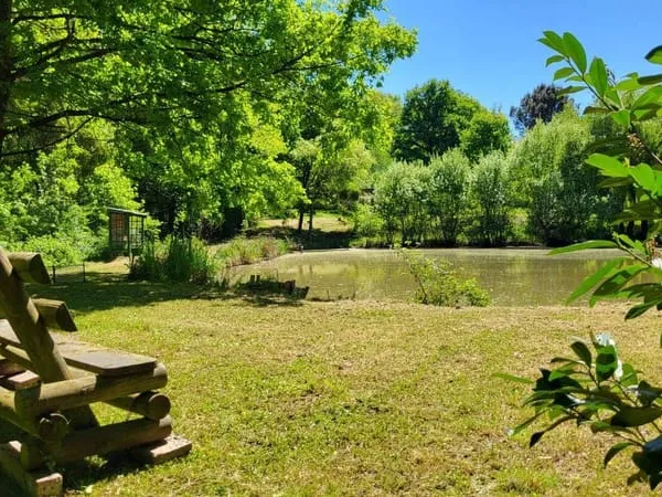 Terrain 9800 m²