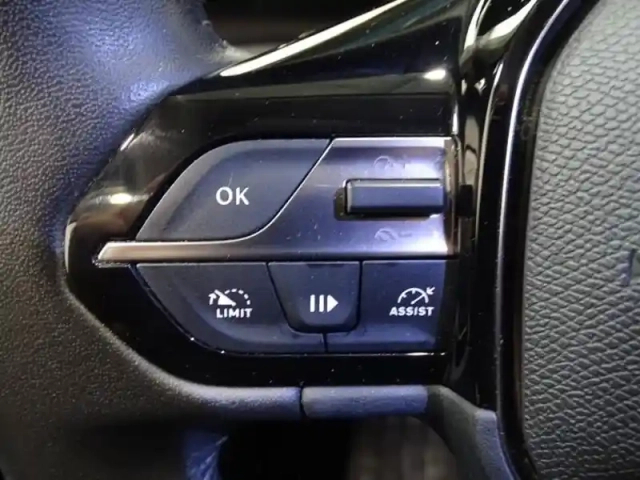 Peugeot 308 sw 1.5 bluehdi 130ch s&amp;s active pack eat8 — photo 13