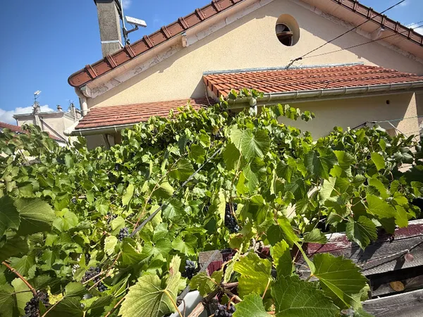 Maison 2 pièces 35 m²