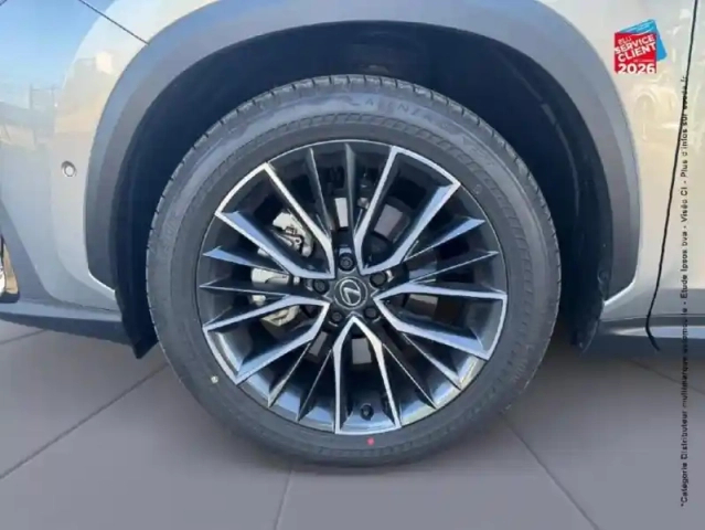 Lexus Nx 450h+ executive 4wd my25 — photo 25