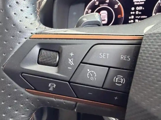 Cupra Formentor 2.0 tdi 150ch business edition dsg7 4drive — photo 15