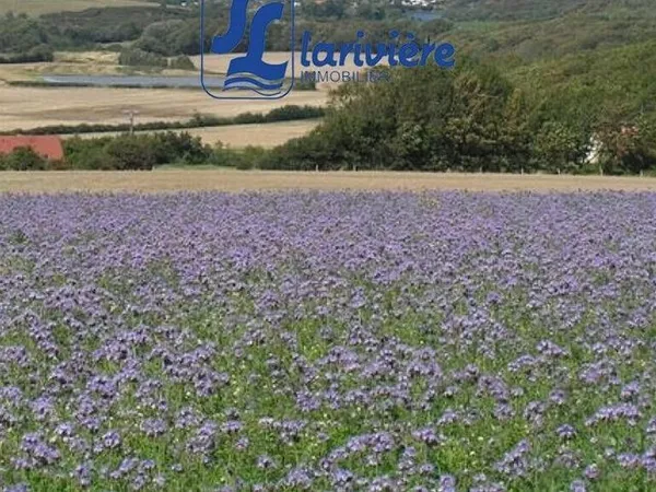 Local 280 m² BEUVREQUEN