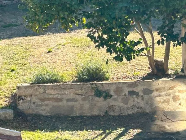 Location appartement T3 dans résidence calme avec jardin